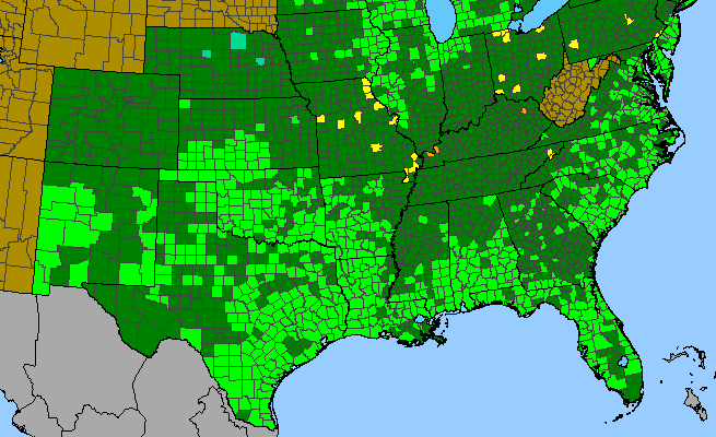 The range of Monarda punctata var. punctata